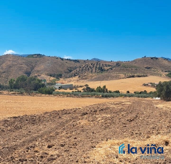 Grunde uden byggetilladelser til salg i Antequera - € 325.000 (Ref: 9235876)