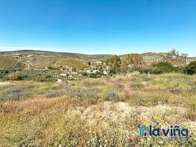 Building Plot for sale in Cuevas Bajas - € 41,500 (Ref: 9343799)