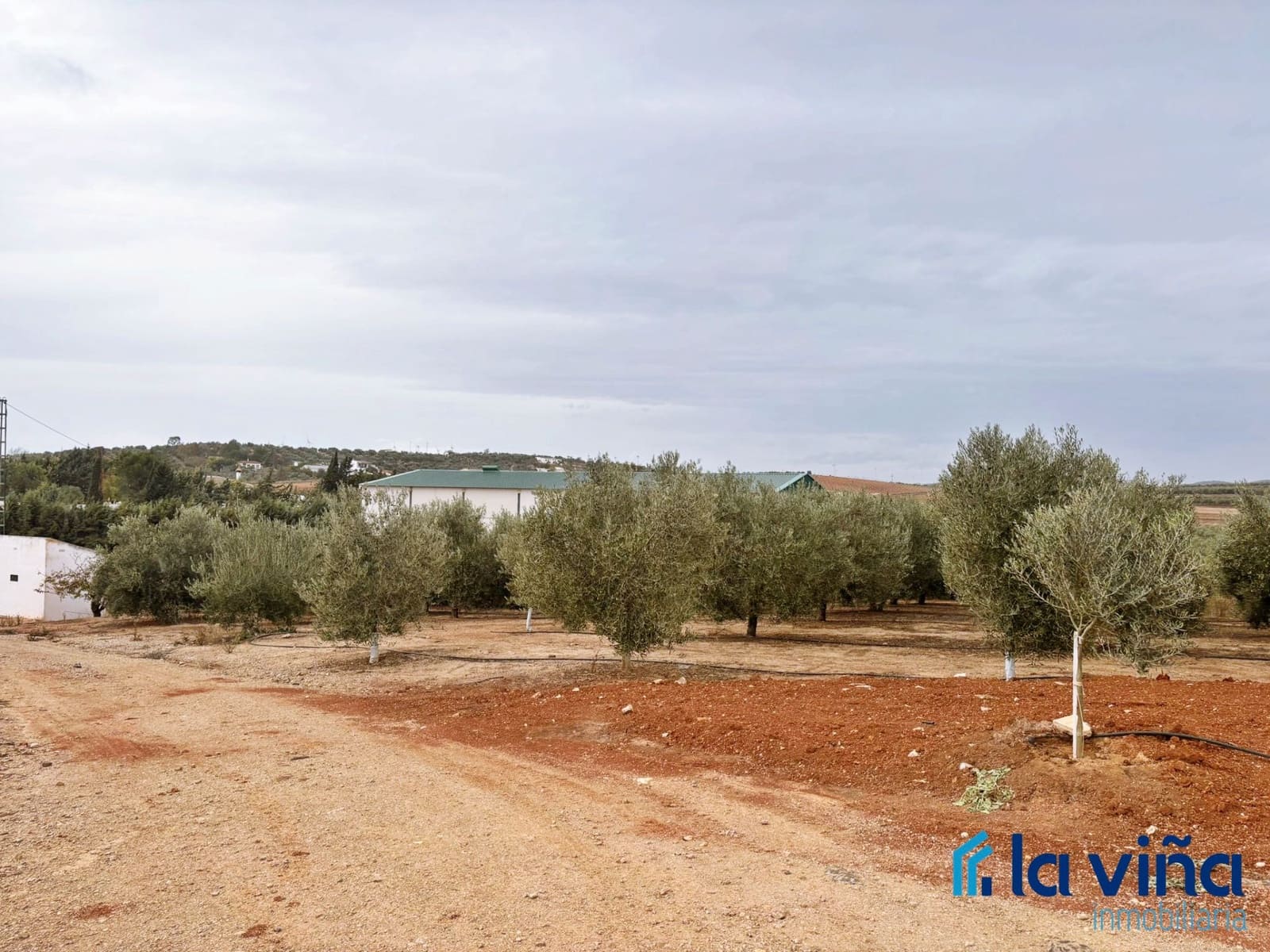 Finca/Landhuis te koop in Campillos - € 380.000 (Ref: 9402691)