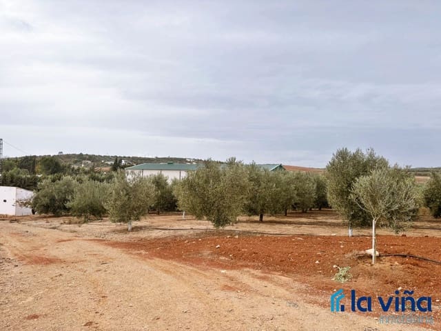 Finca/Landehus til salg i Campillos - € 380.000 (Ref: 9402691)