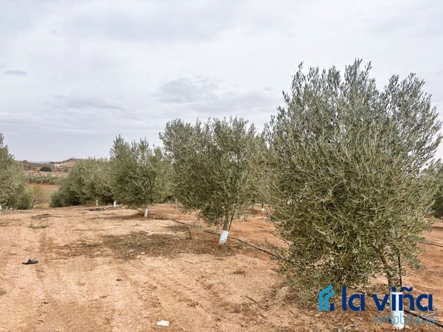 Finca/Landehus til salg i Campillos - € 380.000 (Ref: 9402691)