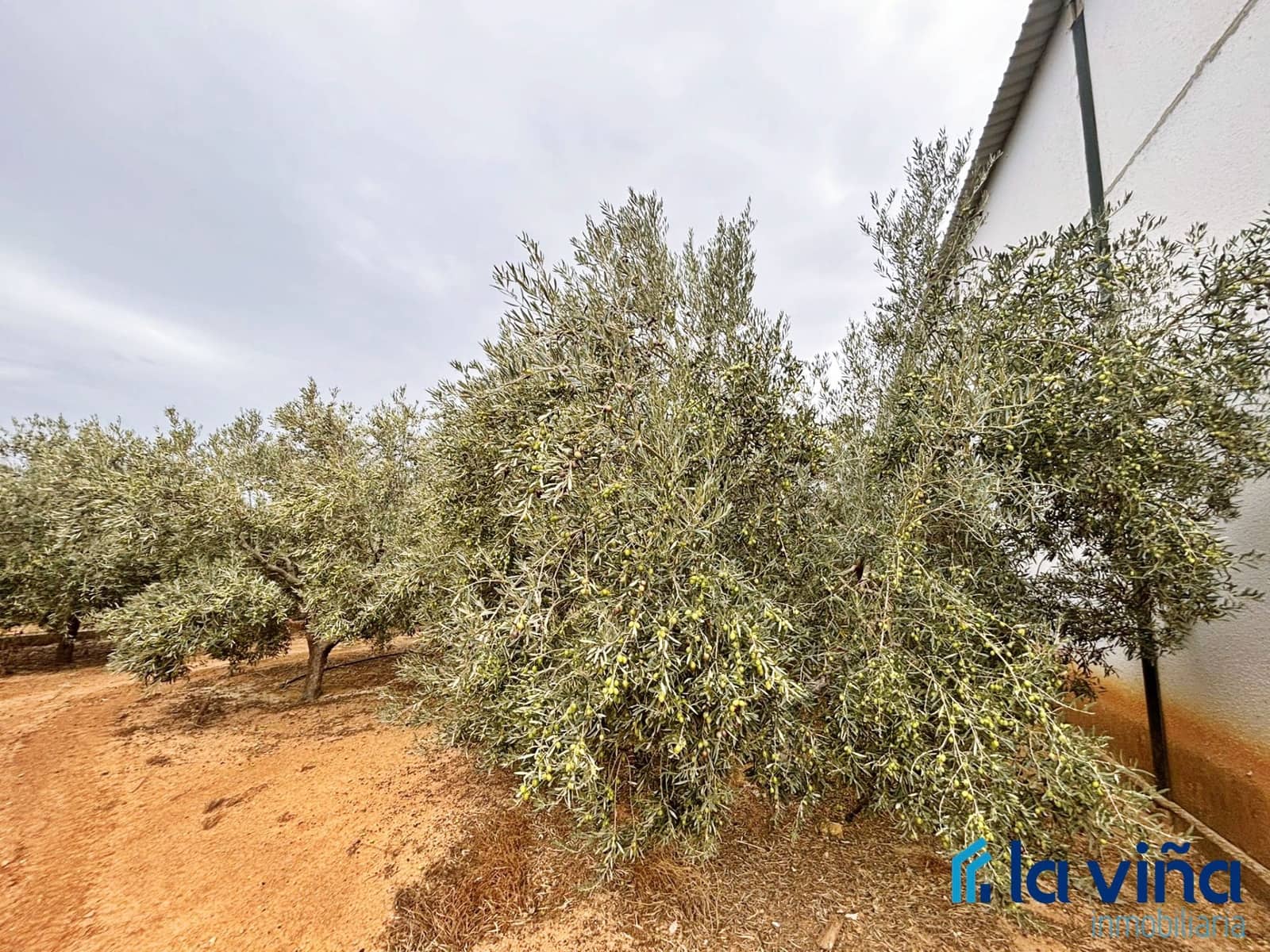 Finca/Landhuis te koop in Campillos - € 380.000 (Ref: 9402691)