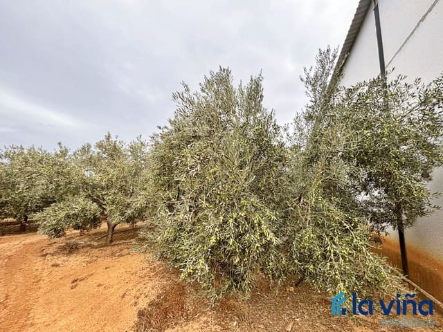 Finca/Landehus til salg i Campillos - € 380.000 (Ref: 9402691)