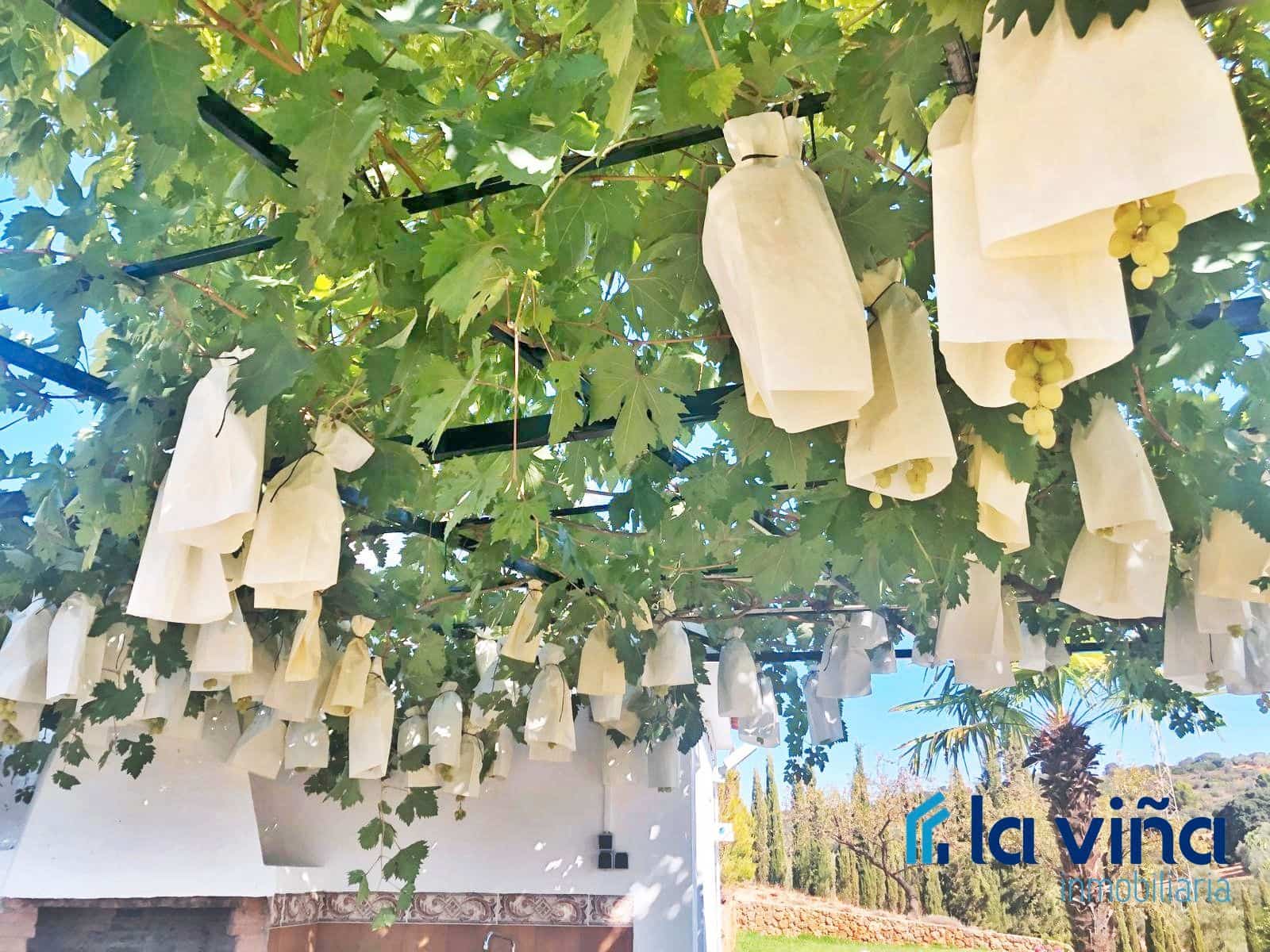 3 bedroom Finca/Country House for sale in Villanueva del Rosario with pool - € 650,000 (Ref: 9503541)