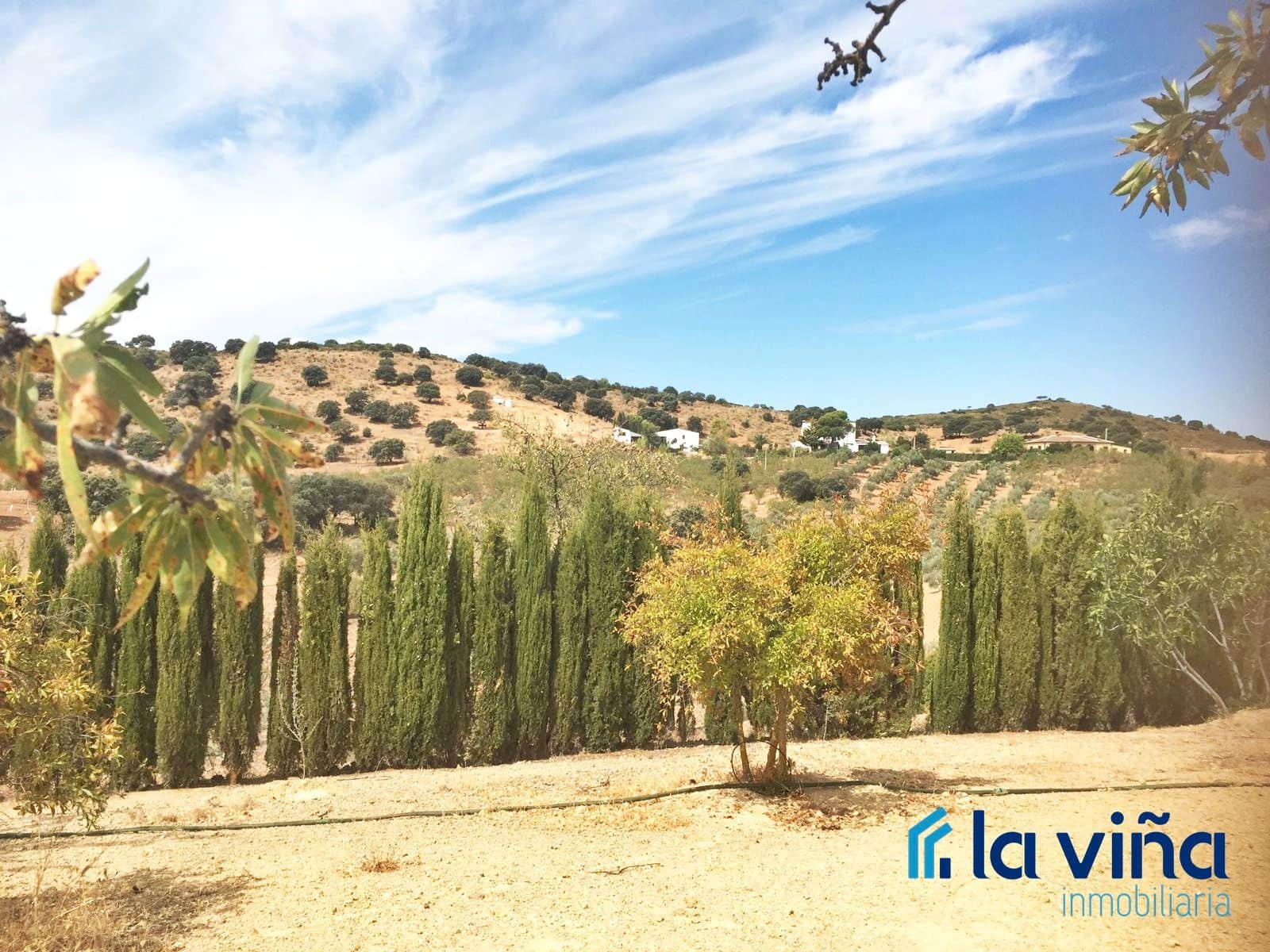 3 bedroom Finca/Country House for sale in Villanueva del Rosario with pool - € 650,000 (Ref: 9503541)