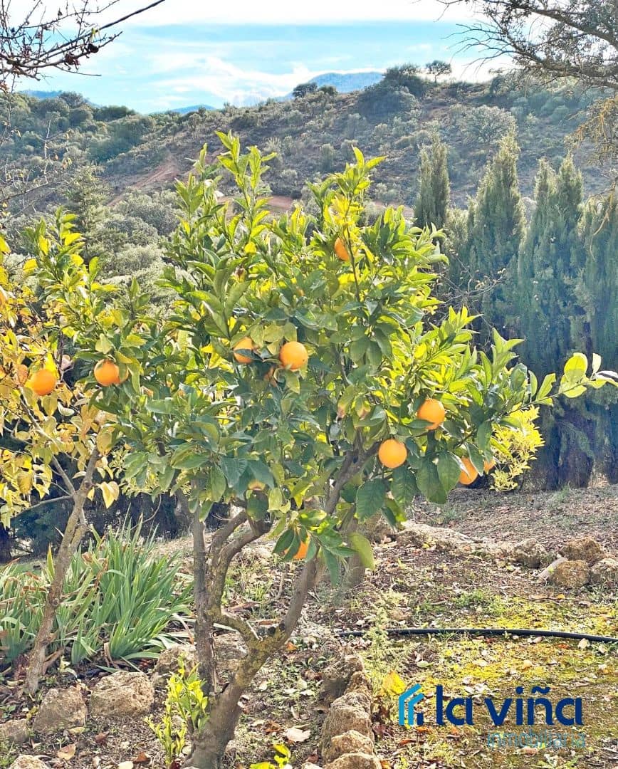 3 makuuhuone Maalaistalo myytävänä paikassa Villanueva del Rosario mukana uima-altaan - 650 000 € (Ref: 9503541)