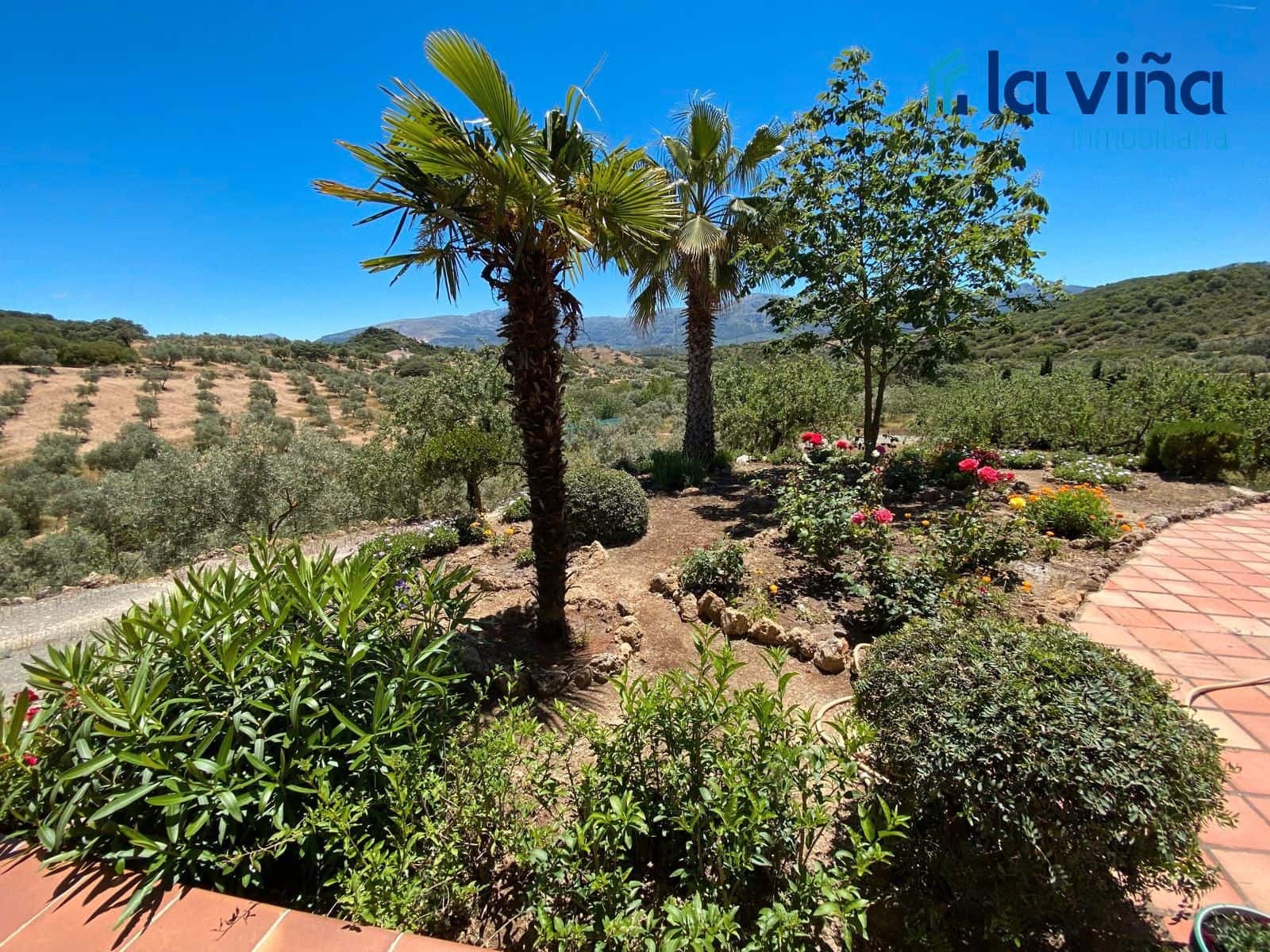 3 makuuhuone Maalaistalo myytävänä paikassa Villanueva del Rosario mukana uima-altaan - 650 000 € (Ref: 9503541)