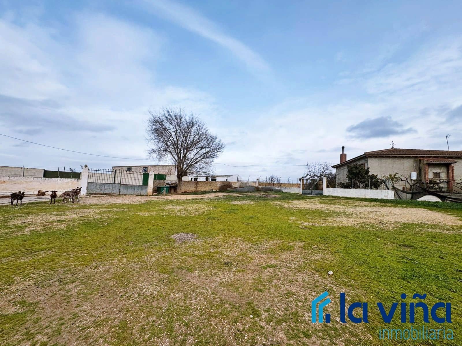 3 camera da letto Finca/Casa di Campagna in vendita in Los Corrales - 440.000 € (Rif: 9539684)