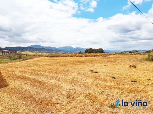 Mark till salu i Antequera - 70 000 € (Ref: 9691479)