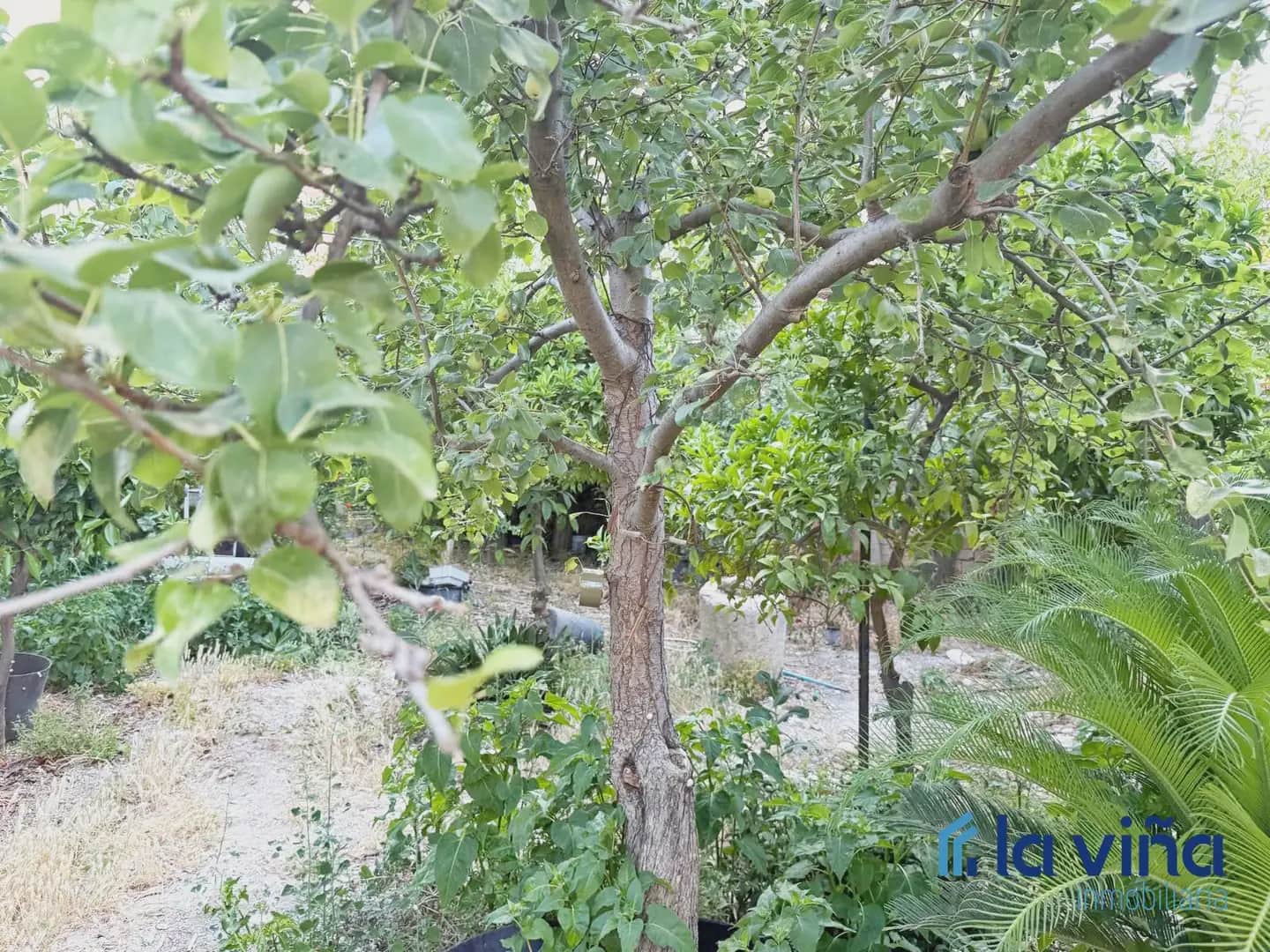 4 slaapkamer Huis te koop in Alameda - € 158.000 (Ref: 9893270)