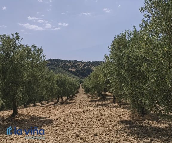 Finca/Landhuis te koop in Olvera - € 1.390.000 (Ref: 9921536)