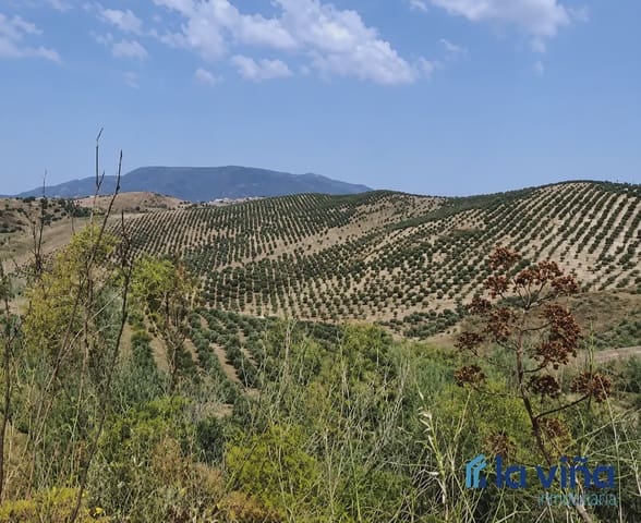 Finca/Landhuis te koop in Olvera - € 1.390.000 (Ref: 9921536)
