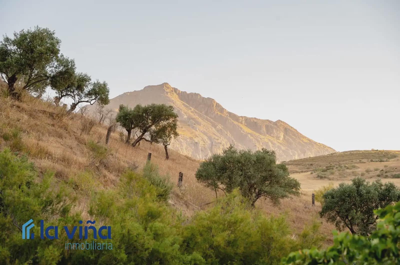 Finca/Casa di Campagna in vendita in Antequera - 350.000 € (Rif: 9935068)