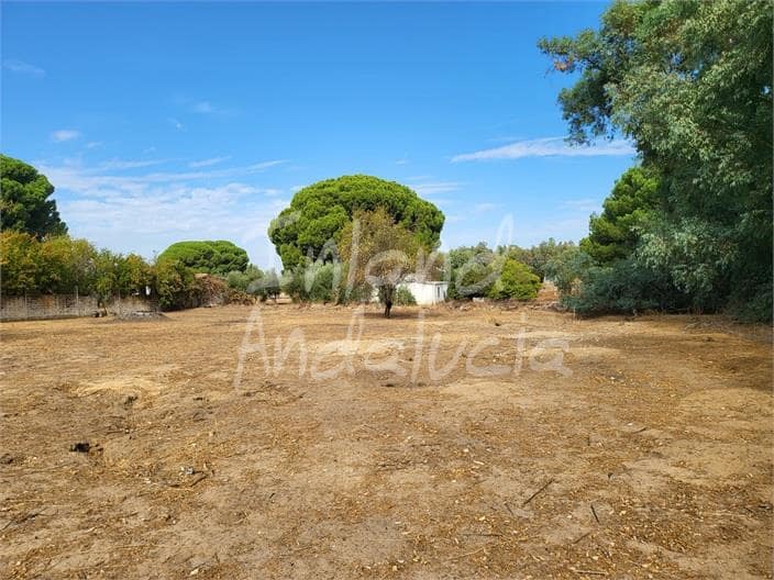 4 quarto Moradia para venda em Marchena com piscina - 239 000 € (Ref: 10132349)