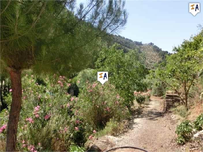 2 Zimmer Finca/Landgut zu verkaufen in Montefrio mit Garage - 240.000 € (Ref: 4036126)