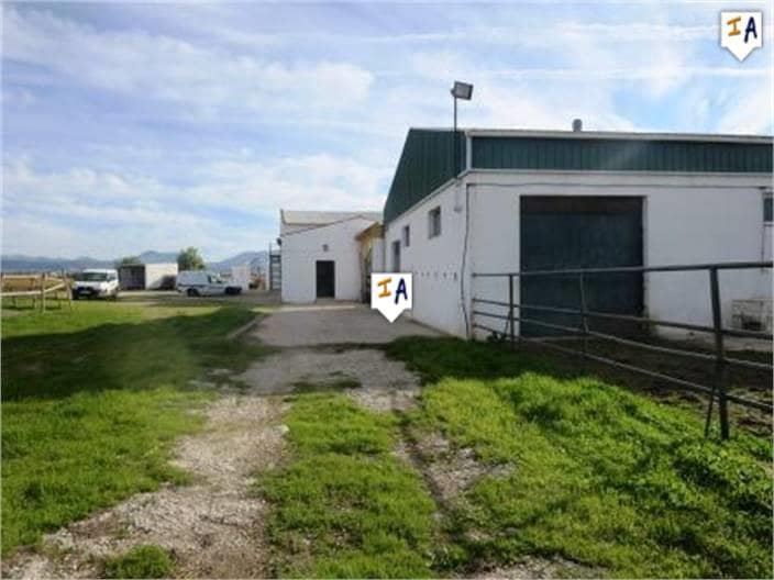 5 soveværelse Finca/Landehus til salg i Mollina med swimmingpool garage - € 1.650.000 (Ref: 4306882)