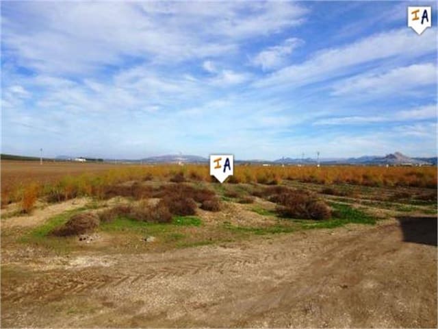 5 sovrum Finca/Hus på landet till salu i Mollina med pool garage - 1 650 000 € (Ref: 4306882)