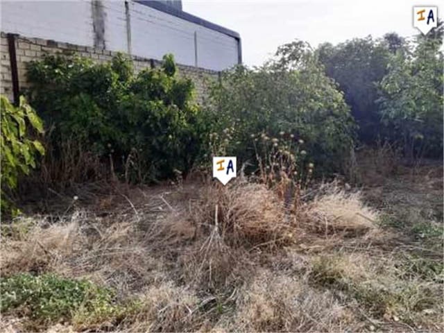 5 bedroom Commercial for sale in Lucena with garage - € 120,000 (Ref: 4838689)