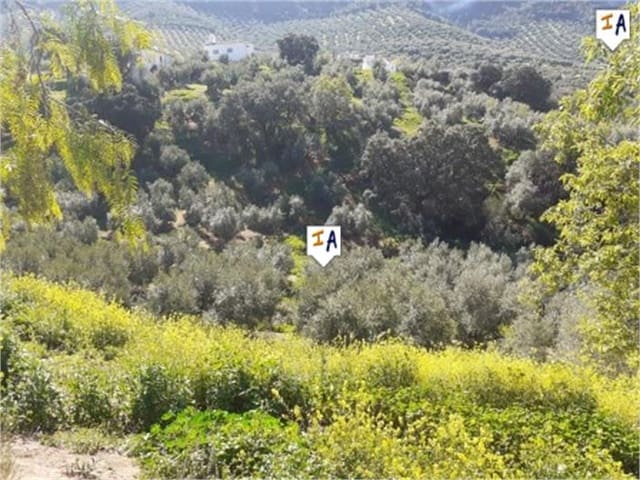 6 slaapkamer Finca/Landhuis te koop in Rute met zwembad garage - € 108.000 (Ref: 5138592)