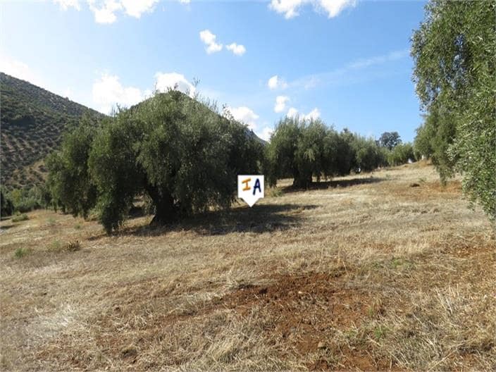 5 soveværelse Finca/Landehus til salg i Martos med garage - € 65.000 (Ref: 5851681)