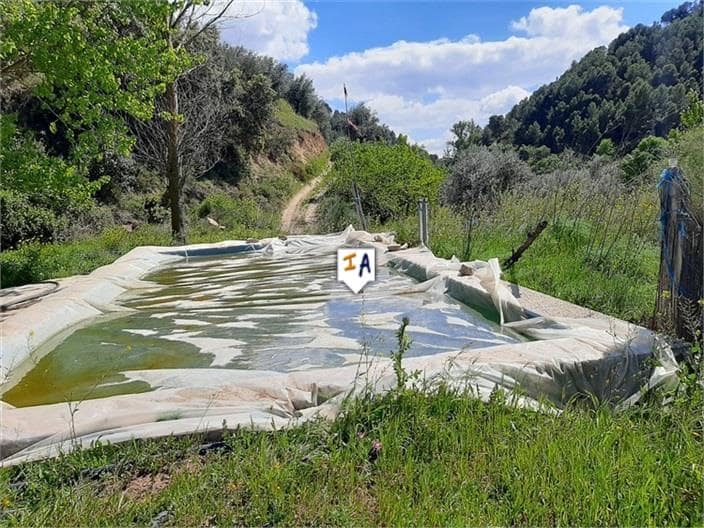 Byggegrund til salg i Montefrio - € 55.000 (Ref: 6028381)