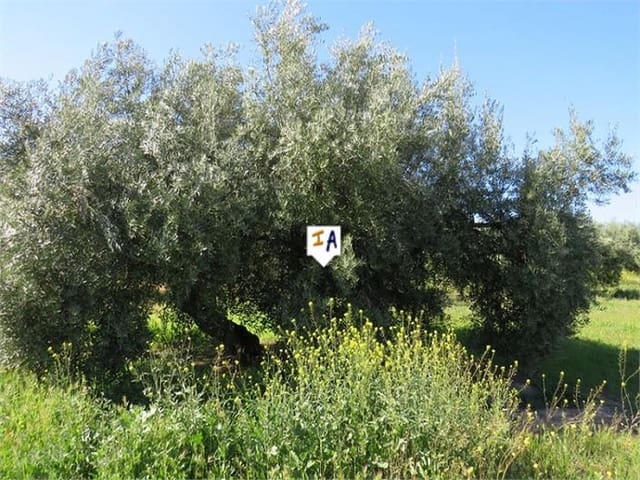 Building Plot for sale in Martos - € 36,000 (Ref: 6341495)