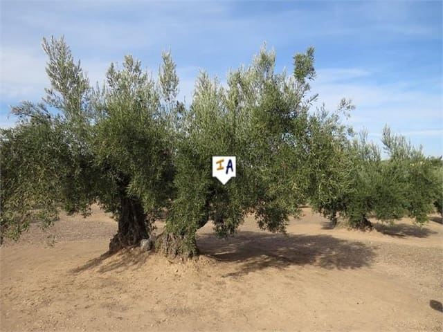 Building Plot for sale in Alcaudete - € 135,000 (Ref: 6588315)