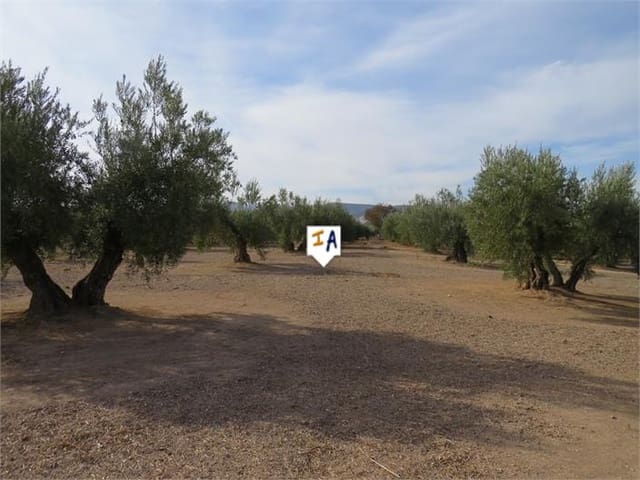 Building Plot for sale in Alcaudete - € 135,000 (Ref: 6588315)