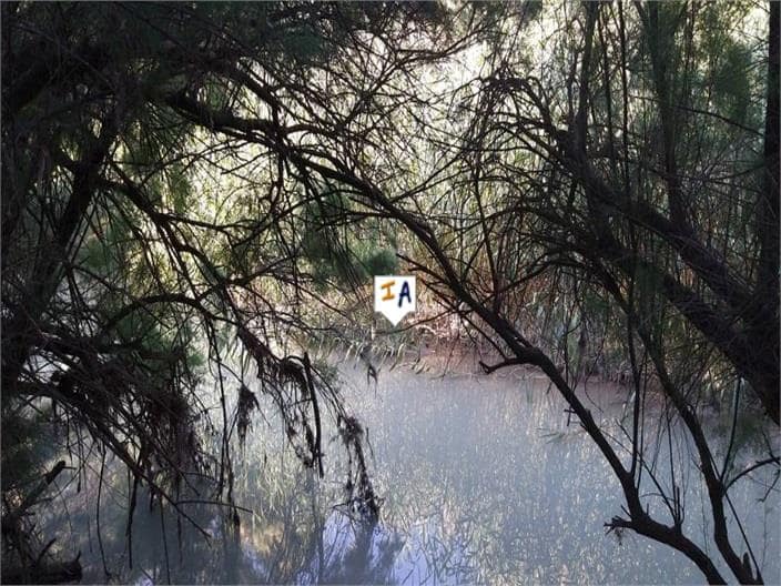 5 soveværelse Villa til salg i Baena med swimmingpool garage - € 240.000 (Ref: 6900775)