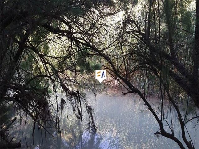 5 soveværelse Villa til salg i Baena med swimmingpool garage - € 240.000 (Ref: 6900775)