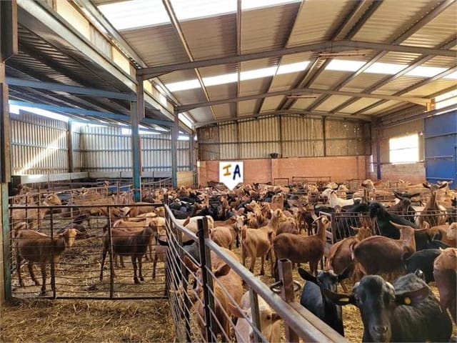 3 sypialnia Finka/Dom wiejski na sprzedaż w Mollina z garażem - 435 000 € (Ref: 7309606)