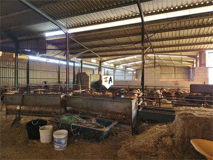 3 sovrum Finca/Hus på landet till salu i Mollina med garage - 435 000 € (Ref: 7309606)