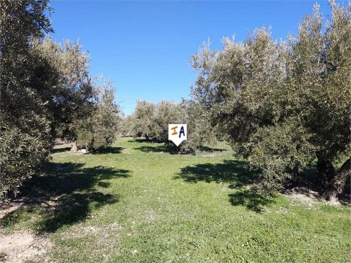 8 soveværelse Erhverv til salg i Luque - € 171.900 (Ref: 7375855)