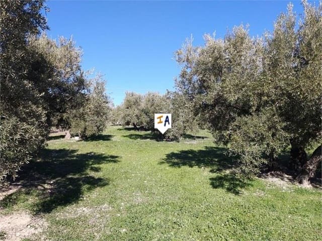 8 bedroom Commercial for sale in Luque - € 171,900 (Ref: 7375855)