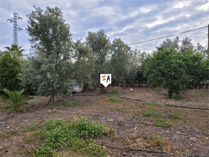 3 chambre Villa/Maison à vendre à Marchena avec piscine garage - 210 000 € (Ref: 8005239)