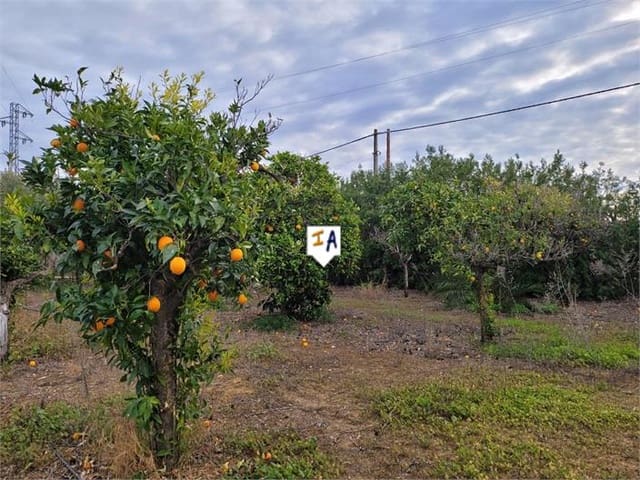 3 chambre Villa/Maison à vendre à Marchena avec piscine garage - 210 000 € (Ref: 8005239)