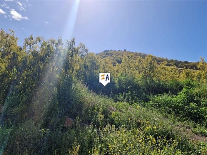 3 soveværelse Finca/Landehus til salg i Algarrobo - € 750.000 (Ref: 8219817)