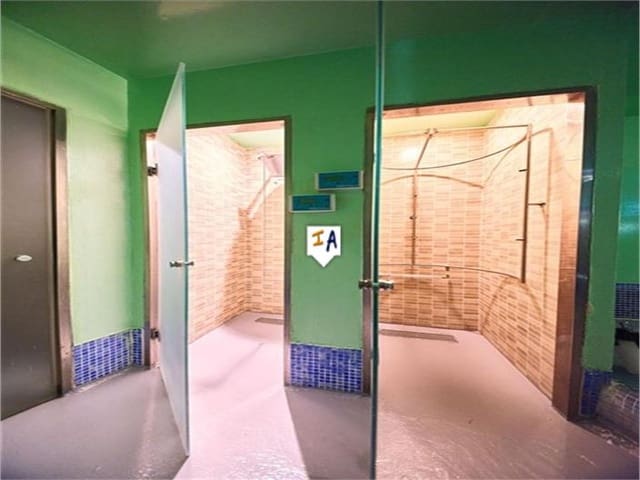 Commercial for sale in Centro - Sagrario, Granada city - € 585,000 (Ref: 8420958)