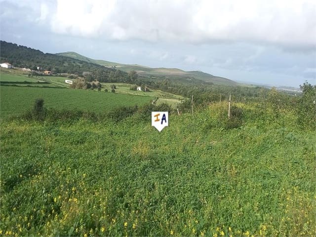 Area Edificabile in vendita in Barbate - 75.000 € (Rif: 8809210)