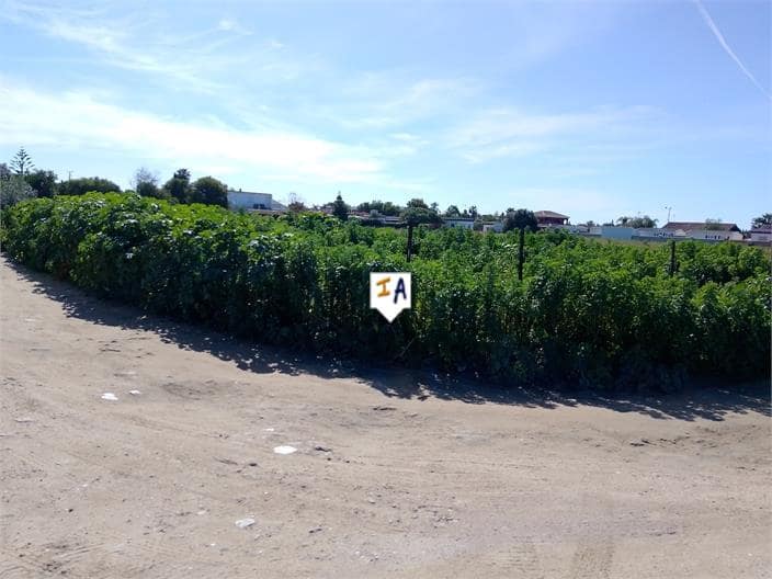 Byggegrund til salg i Vejer de la Frontera - € 535.000 (Ref: 8864316)