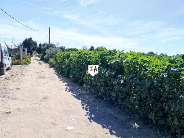 Bouwgrond te koop in El Palmar, Vejer de la Frontera - € 535.000 (Ref: 8864316)