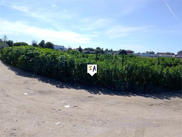 Bouwgrond te koop in El Palmar, Vejer de la Frontera - € 535.000 (Ref: 8864316)