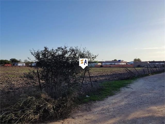 Bouwgrond te koop in El Palmar, Vejer de la Frontera - € 535.000 (Ref: 8864316)