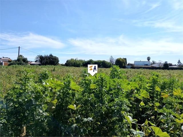 Bouwgrond te koop in El Palmar, Vejer de la Frontera - € 535.000 (Ref: 8864316)