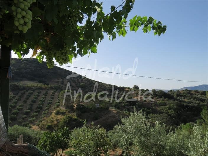 5 soveværelse Finca/Landehus til salg i Castillo de Locubin med swimmingpool garage - € 140.000 (Ref: 9036250)