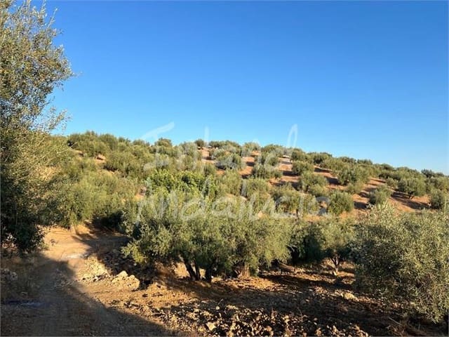 Building Plot for sale in Periana - € 125,000 (Ref: 9172687)