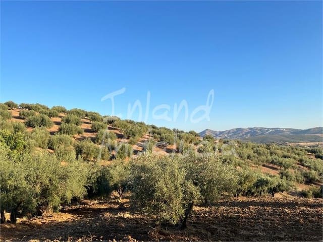Building Plot for sale in Periana - € 125,000 (Ref: 9172687)