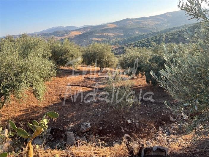 Byggetomt til salgs i Periana - € 125 000 (Ref: 9172687)