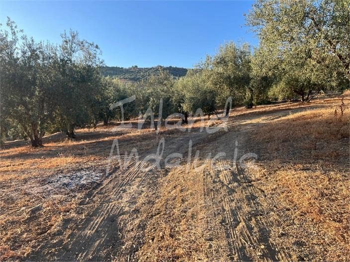 Byggetomt til salgs i Periana - € 125 000 (Ref: 9172687)