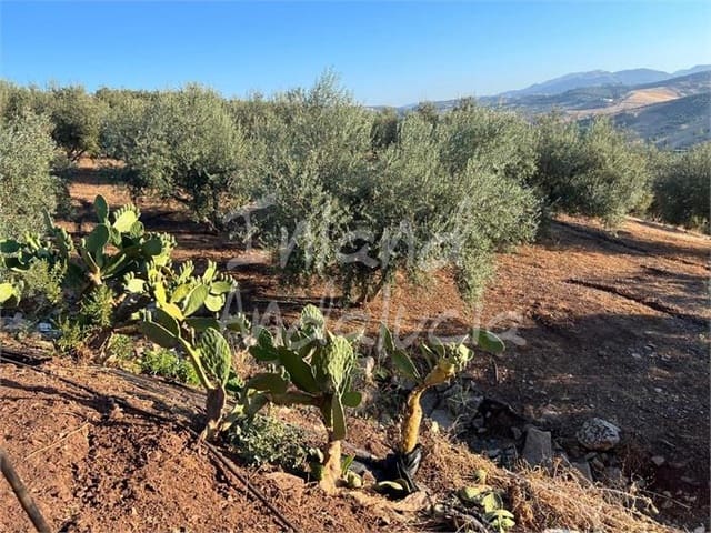 Building Plot for sale in Periana - € 125,000 (Ref: 9172687)